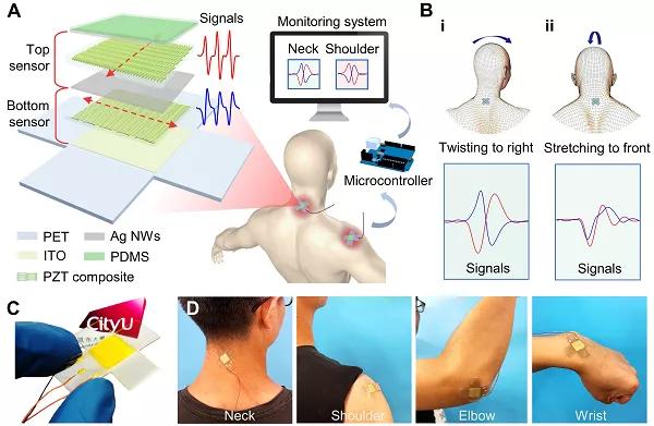 香港城大楊征保課題組Science子刊：一種新型柔性壓電陶瓷剪紙，用于預(yù)防關(guān)節(jié)疾病